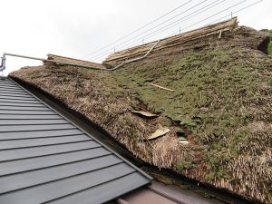 裏手の、屋根が特に傷んでいる部分。表面の茅が薄くなっており、薄くなった部分に雨が漏らないように板を差し込んである