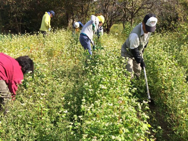 交野市 おりひめ大学 の取り組み 地域らしい市民主体のまちおこし 住まいの本当と今を伝える情報サイト Lifull Home 039 S Press 交野市 おりひめ大学 の取り組み 地域らしい市民主体のまちおこし 住まいの本当と今を伝える情報サイト Lifull Home 039 S Press