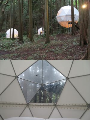 幻想的なテントエリア。下は寝転んだ時に見える風景。残念ながら取材の日は雨で星も太陽も見えなかった