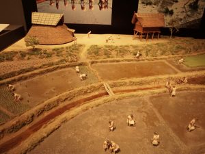 弥生時代の田植え風景を復元したジオラマ
