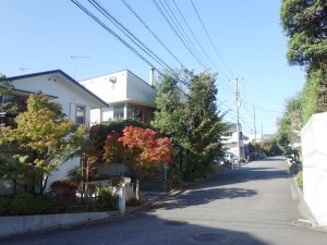 自然素材をテーマにした雑誌主催でこの通りを歩くイベントなども開催されているという、通称小井田通り、入口近くの風景