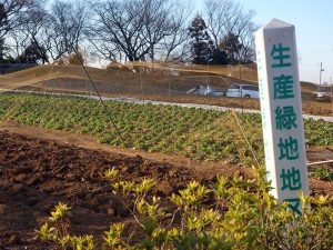 生産緑地の大半が2022年に営農義務がなくなる…大量宅地化も起こり得る問題への注目が総合2位に