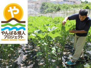 「子供たちにもっと土に触れてもらいたい」という安彦さん。やんばる畑人プロジェクトでは子供たちがやんばるの土や海に触れ合うイベントも企画されている。左上のロゴは安彦さんのデザインによる