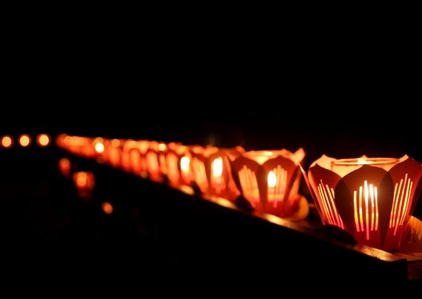 京都雨宝院の花まつり