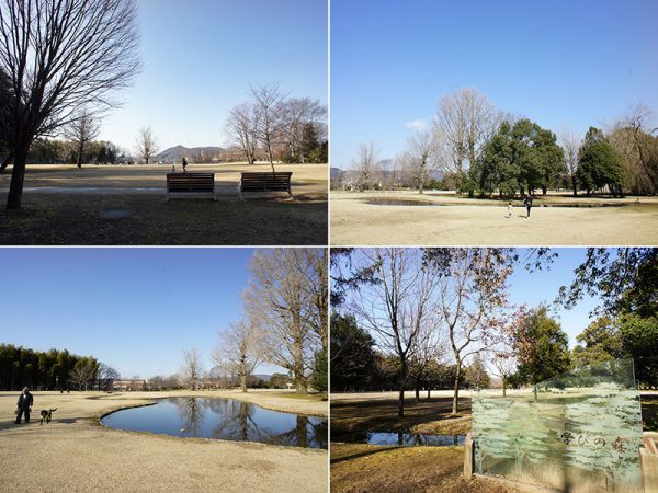 旧岐阜大学跡地を整備した「学びの森」は、豊かな木々や芝生広場、池や小川などがある自然豊かな美しい公園。イチョウやメタセコイヤが続く並木道は、以前「冬ソナストリート」としても注目を集めた。各務原市役所からほど近い地にあり最寄りの名鉄「各務原市役所前」駅からは徒歩5分。3時間無料の駐車場があることも利用しやすさに繋がっているのだろう