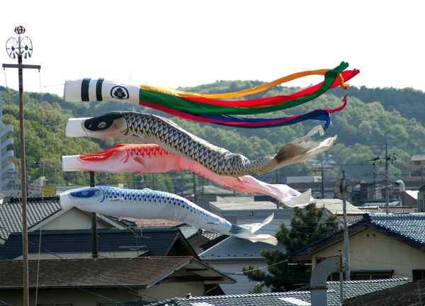 鯉のぼりとともに家紋を入れたものを飾る地域もある