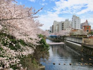前回の分析結果では、理論賃料に比べて募集賃料が割安な物件が多い地域として、古くから人気の高い住宅地を内包するエリア：目黒区・世田谷区・渋谷区と、東京駅などの都心部への交通利便性が高く近年人気が高まっているエリア：荒川区・足立区の2グループが選定された