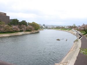 街のシンボルである乙川を中心に、賑わいを復活させるまちづくりに期待