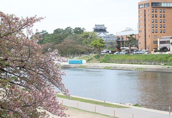 奥に見えるのが岡崎城。街の中心部ながら、川と木々の美しい風景が広がる