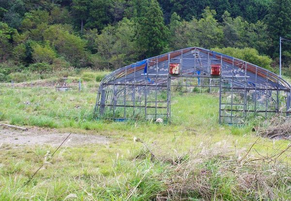 ソーラーシェアリングは、日本の農業発展の有効な手段になるはずだ。増加傾向の耕作放棄地を再び有効活用する方法としても期待できる