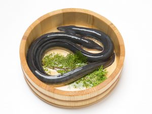 鰻を食べる日として定着した「土用の丑」