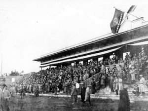 柏競馬場の様子