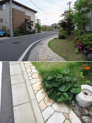 ＜画像上＞家と家がアールデザインの石英石の舗装で繋ばれ開放的な街並みに<br>
＜画像下＞玄関へのプローチも芝生や自然石を。バードバスには小鳥も