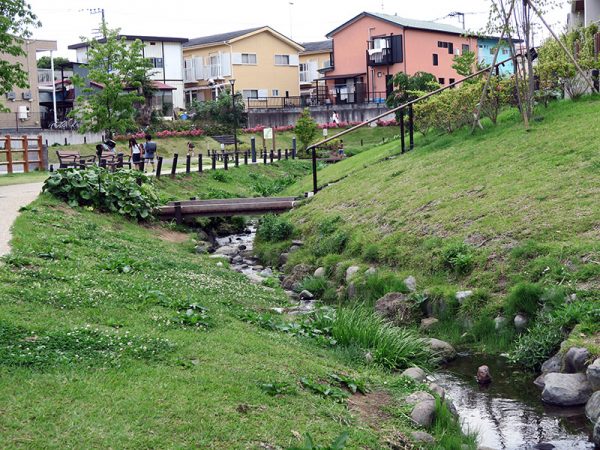 「今泉あらい湧水公園」は住人のオアシス。ベンチで宿題をしたり水辺で魚を捕まえたり。学校帰りの子どもたちも多い
