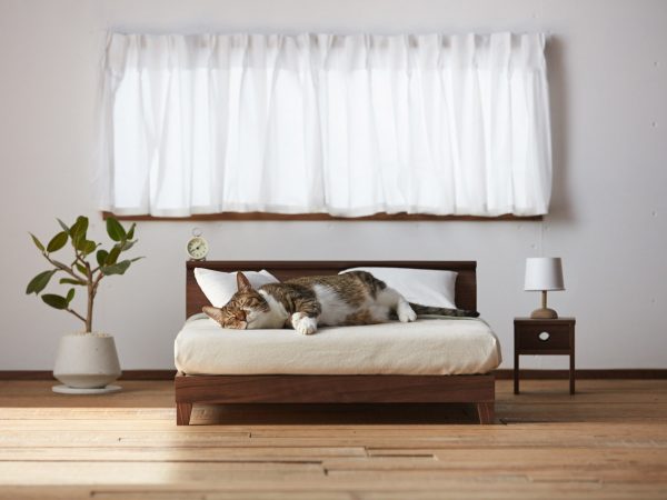 大川の技術とセンスを証明するために造られた「ネコ家具」。大反響を呼んでいる