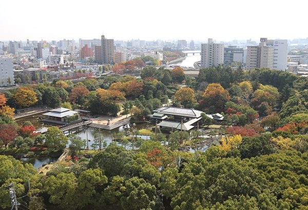 白鳥庭園の全景。名古屋市の街中で緑豊かな美しい景観を成し、人々の憩いの場になっている（写真提供：白鳥庭園管理事務所）