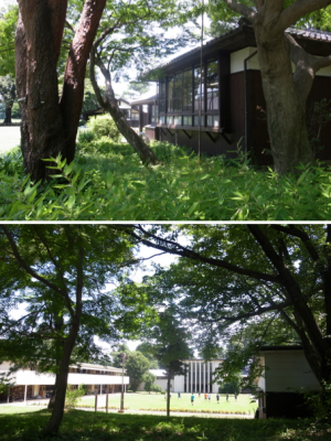 自由学園はまさに田園の中の学園だ