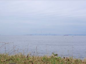 猿島から第一、第二海堡を望む。奥の半島の手前、左手に見える島が第二海堡、右手にあるのが第一海堡