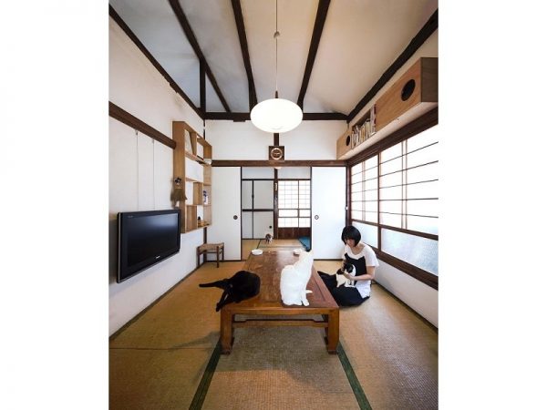 「平井ねこのいえ」内観。壁に設置された「ねこだな」が特徴的だ <br />写真：蔵プロダクション