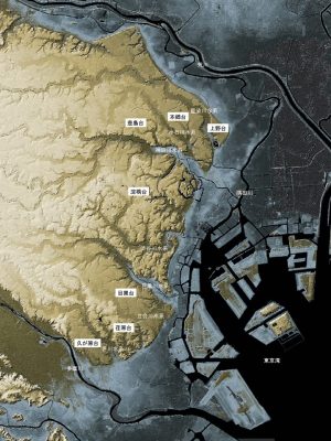 東京都心部の地形図。台地の上に無数のスリバチがあることが分かる