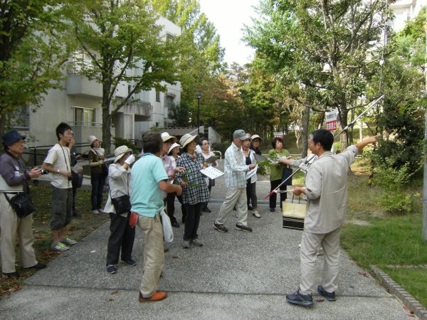 自然観察会の様子