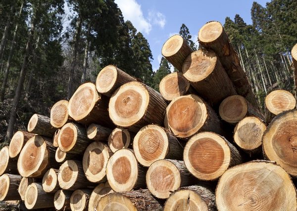 JAS構造材の利用は、工務店や設計者などの事業者にとってビジネスリスクを軽減し、顧客からの信頼を得ることにつながる。また、一般ユーザーにとっては、建物に対する安心材料になるはず。そして地球環境の保全にも貢献できる