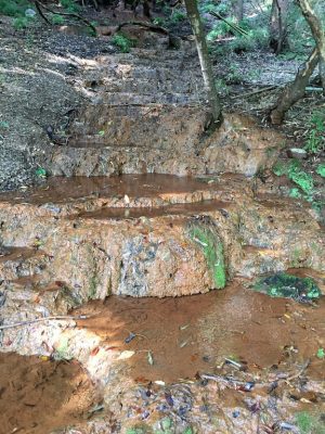 源泉付近にある石灰華段丘