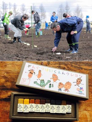 ピザ部の活動で新品種の小麦の種をまく様子（上）クレヨン部が作り、地元保育園に提供されたクレヨン（下）