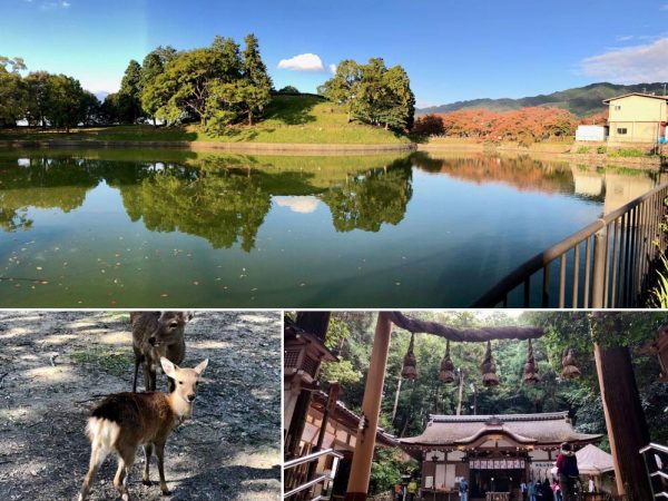 JR西日本は奈良の観光資産の発掘に取り組んでいる。（上）多くの寺社や古墳が点在する「山辺の道」。（左下）奈良公園の鹿。（右下）大神神社の摂社、狭井神社。「神の山」として知られる三輪山への登拝口がある