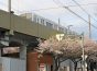 名古屋鉄道がまちづくりで地域を盛り上げる。名鉄瀬戸線の高架下にSAKUMACHI商店街がオープン
