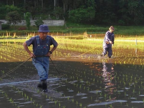 休耕田を無料で借り受け、「みんなの田んぼ」「ママンの田んぼ」など４つの田んぼプロジェクトが始まっている。トラクターや機材はお互いシェアし、作業の後には田んぼを眺めて乾杯。「昨年はできたお米をオリジナルパッケージにしてご近所に配った方も。その楽しそうな様子を見て、今年、メンバーと田んぼの枚数が増えました！」と山本さん