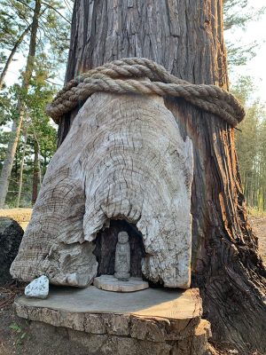 樹齢300年を越える杉のご神木にあるお地蔵さま