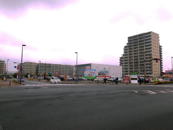 スカイツリーライン沿線ではレイクタウンのある越谷市が人気