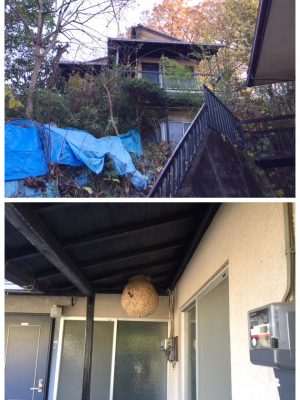 改修前の状態。周囲の人たちには「これを買ったの？」とちょっと驚かれたとか