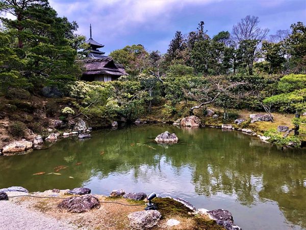宸殿からみる北庭の眺め。夜にはライトアップされた五重塔が浮かび上がる