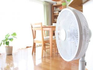 扇風機を使うことで、風の流れを調整できる。うまく活用すれば効率よく室内を冷やすことができるだろう