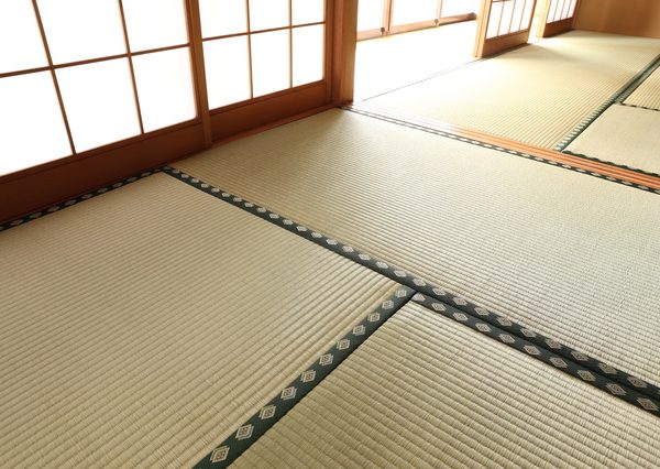 シバンムシが畳に潜んでいる場合は中で繁殖するため、気づきづらい。天日干しが一番だが、難しい場合は殺虫剤を撒くなどの対策を