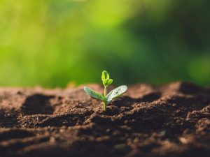 所有者不明土地は九州全土の面積を上回ると推計される