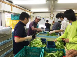 アグリー農園では小松菜、リーフレタスなどを水耕栽培。定植や収穫などの農作業を通じた就労訓練に取り組んでいる