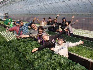 水耕栽培のハウスで働く井上さんと社員のみなさん。ハウス内は誰もが快適に働けるよう、作業道具の置き場所を決めて整理整頓を徹底しているという