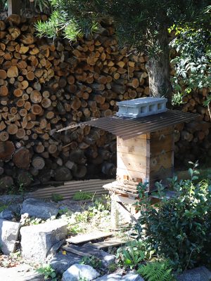 ニホンミツバチを保護する「みつばちの楽園プロジェクト」を展開。古民家の脇には巣箱を設置している