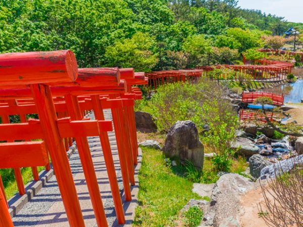 稲荷社に祈願し成就したら鳥居を奉納するという習慣は古くから存在する。多くの鳥居が奉納された神社が人気になるのは、銀座の宝くじ売り場に行列するのと同じ心理なのだろう