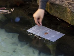 東洋では多くの神社仏閣で占いが普通に行われている。しかしキリスト教の教会で占いは行わない