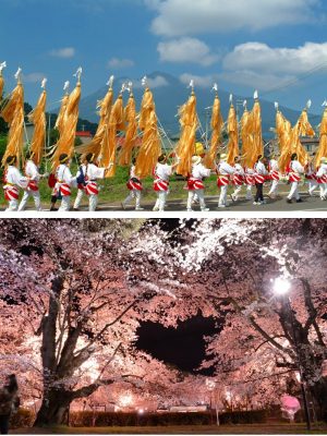 旧暦８月１日に五穀豊穣と家内安全を祈願し、津軽地方の各地域から岩木山山頂奥宮を目指して集団登拝をする「お山参詣」（上）。弘前公園で行われる「さくらまつり」（下）（写真提供：弘前市）