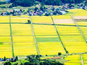 地主が生まれるきっかけとなったこと