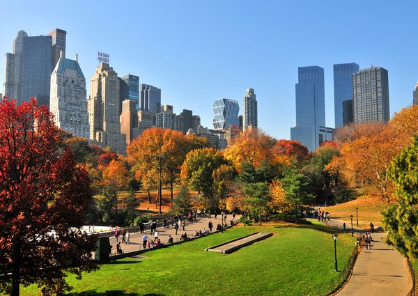 ニューヨークセントラルパークの周りには高層の高級レジデンスがならぶ（写真提供：PIXTA）
