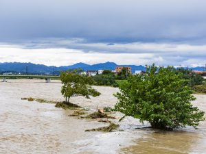 2019年は、多くの地域が台風と豪雨の被害にみまわれ、都市圏でも例外ではなかった（※写真はイメージ。PIXTA）