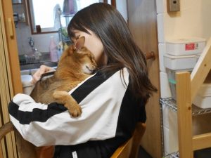 ブラッシング中、終始店長のまいこさんに甘えっぱなしの猫