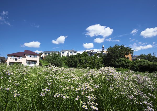 生産緑地法の改正と地方税法の改正に伴う行為制限期間は、30年の期限を2022年に迎える