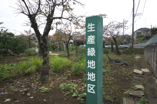 生産緑地の「2022年問題」を考える。生産緑地の宅地化は進むのか～時事